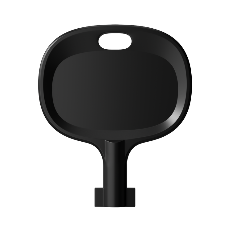 2 Keys for Scenta XL/Vast (ANA/ANW)